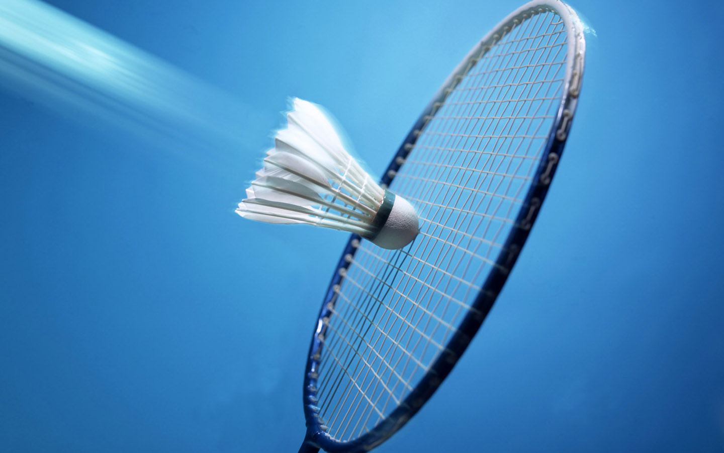 Interclubs de Badminton