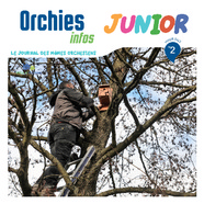 Orchies Info Junior 2