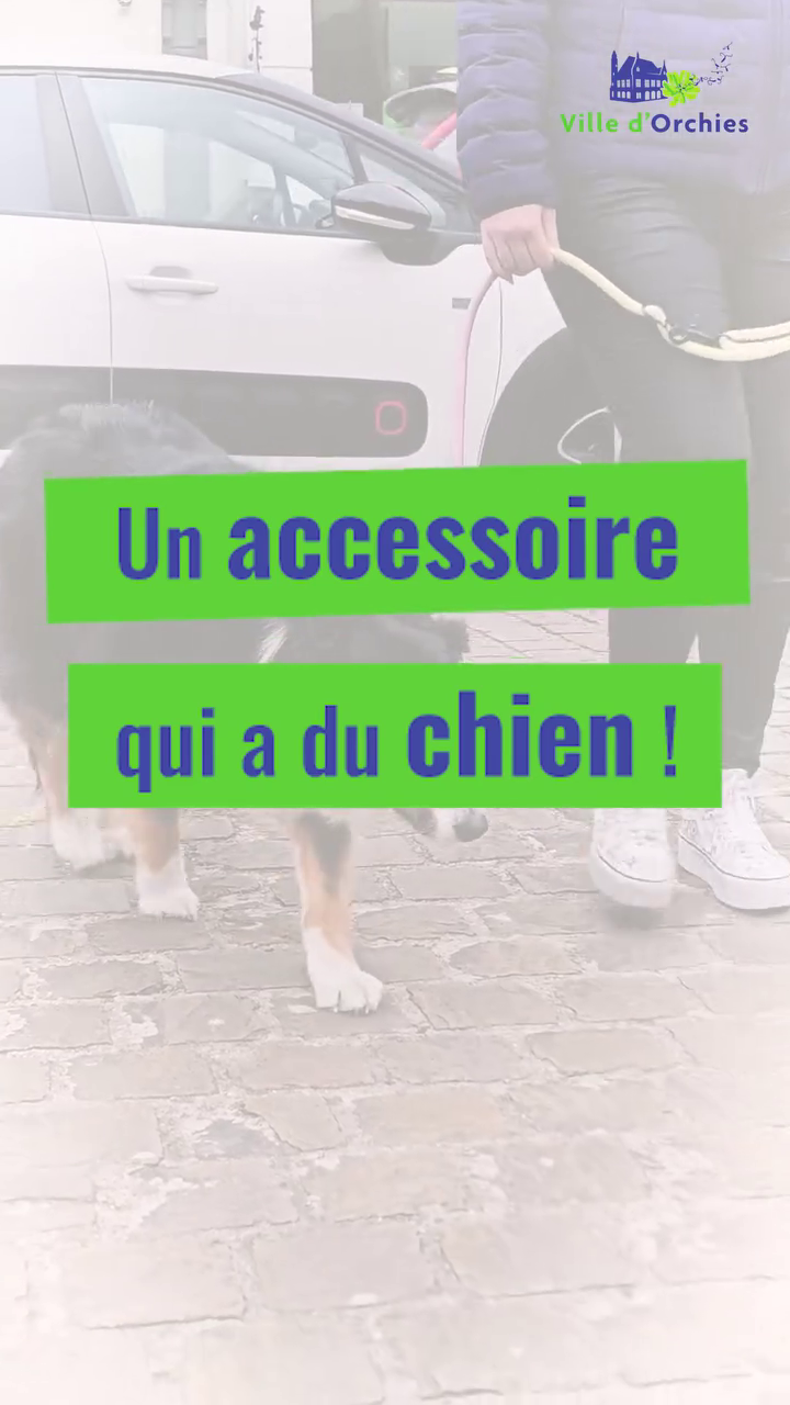 Un accessoire qui a du chien !
