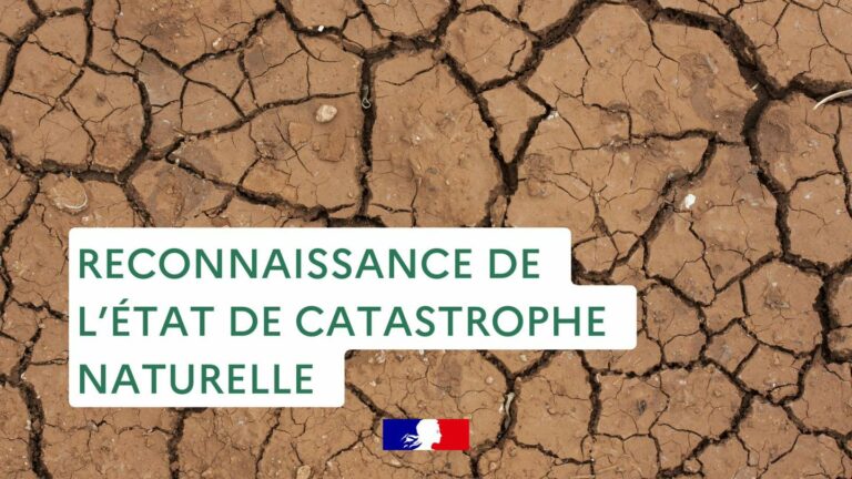 Lire la suite à propos de l’article Reconnaissance de l&rsquo;état de catastrophe naturelle pour l&rsquo;année 2025